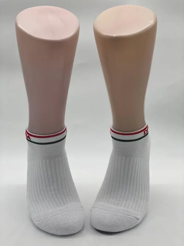 Ankle 3