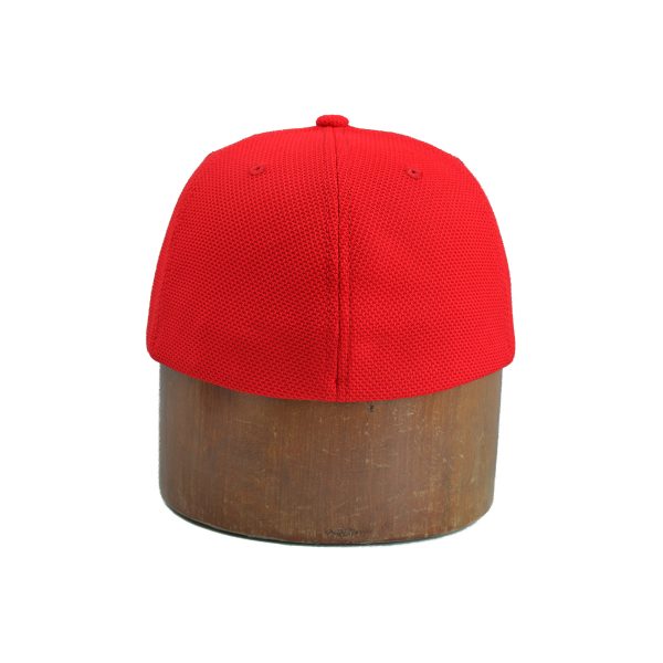Flexifit Snapback Cap Rear