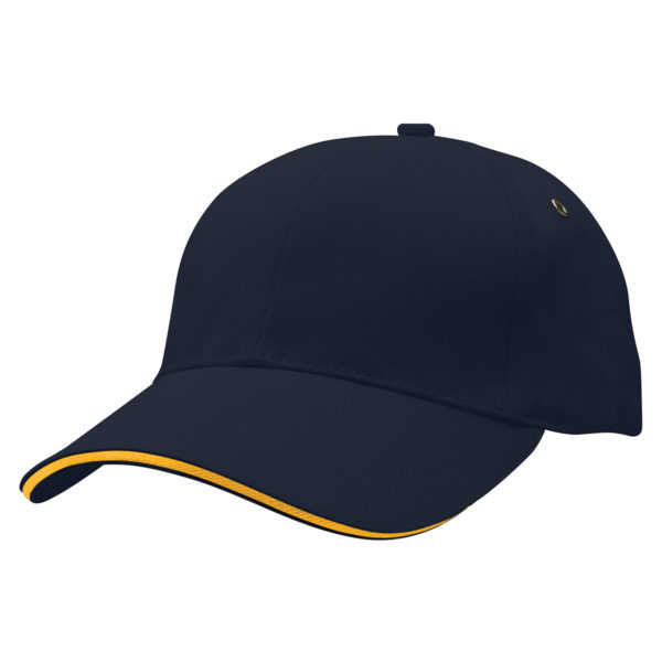 4289 (Navy,Gold)
